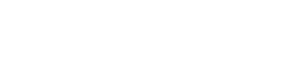 Holzermedia